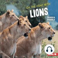 On the Hunt with Lions