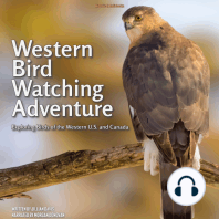 Western Bird Watching Adventure