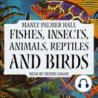 Fishes, Insects, Animals, Reptiles, and Birds