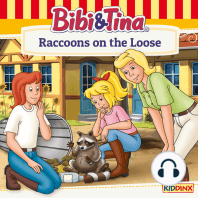 Bibi and Tina, Raccoons on the Loose