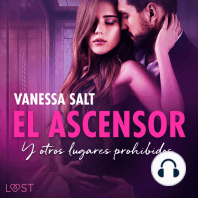 El ascensor y otros lugares prohibidos - an erotic series
