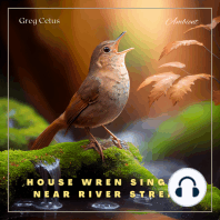 House Wren Singing Near River Stream
