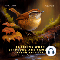 Carolina Wren Birdsong and Smooth River Trickle