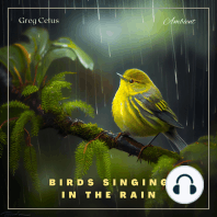 Birds Singing In The Rain