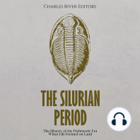 The Silurian Period