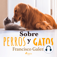 Sobre perros y gatos