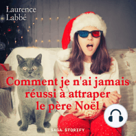 Comment je n'ai jamais réussi à attraper le père Noël