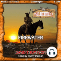 Firewater (Wilderness, 39)