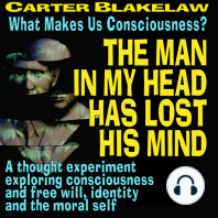 The Man In My Head Has Lost His Mind (What Makes Us Conscious?)