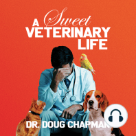 A Sweet Veterinary Life