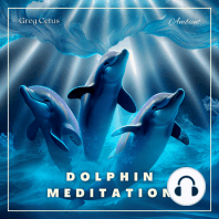 Dolphin Meditation