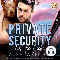 Private Security für die Liebe - Boston In Love, Band 3 (ungekürzt)
