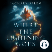 Where the Lightning Goes