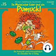 De Meischter Eder und sin Pumuckl, Nr. 15