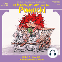 De Meischter Eder und sin Pumuckl, Nr. 20