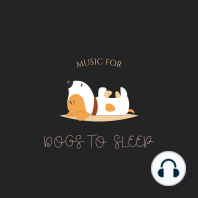 Music For Dogs To Sleep