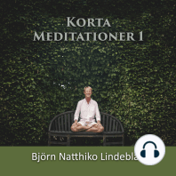 Korta Meditationer 1