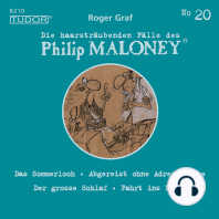 Die haarsträubenden Fälle des Philip Maloney, No.20