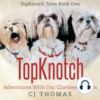 TopKnotch