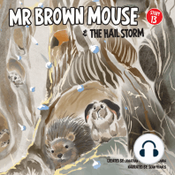 Mr Brown Mouse And The Hail Storm