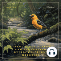 Serene River Stream and Enchanting Bullock’s Oriole Melodies