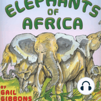 Elephants of Africa