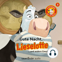 Lieselotte Filmhörspiele, Folge 3