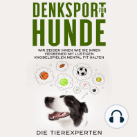 Denksport für Hunde