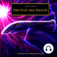 Der Flug der Falgon