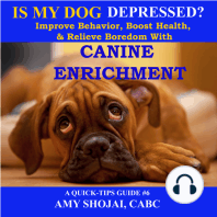 Is My Dog Depressed?