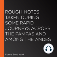 Rough Notes Taken During Some Rapid Journeys Across the Pampas and Among the Andes