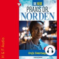 Große Erwartungen - Die neue Praxis Dr. Norden, Band 40 (ungekürzt)