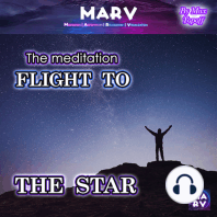 The Meditation Flight To The Star