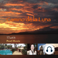 Camino de la Luna - Truth