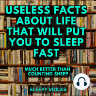 Useless Facts About Life That Will Put You to Sleep Fast