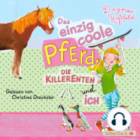 Das einzig coole Pferd, die Killerenten und ich