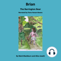Brian The Barrington Bear