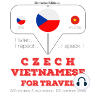 Česko - vietnamština