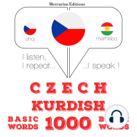 Čeština - kurdština
