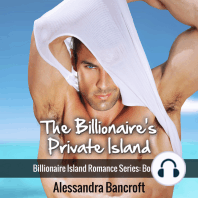 The Billionaire's Private Island