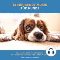 Beruhigende Musik für Hunde