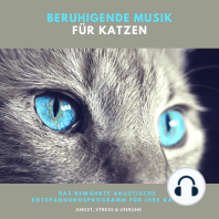 Beruhigende Musik für Katzen