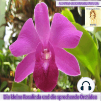 Rosalinda und die sprechende Orchidee: Aus dem gleichnamigen Buch: Die Abenteuer der kleinen Rosalinda