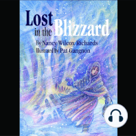 Lost in the Blizzard