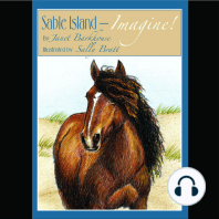 Sable Island-Imagine!