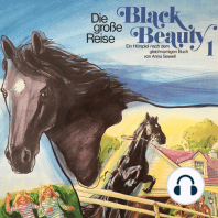 Black Beauty, Folge 1
