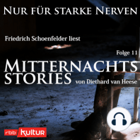 Mitternachtsstories von Diethard van Heese - Nur für starke Nerven, Folge 11 (Ungekürzt)