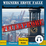 Feuerprobe - Wegners erste Fälle - Hamburg Krimi, Band 2 (ungekürzt)