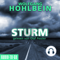 Sturm (Gekürzt)