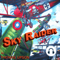 Sky Raider